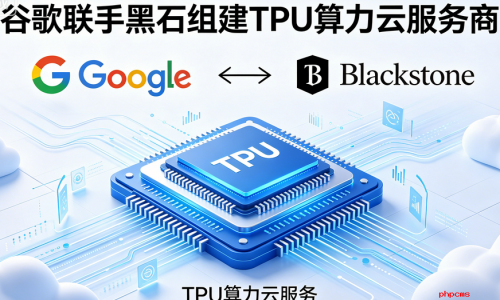 欲与英伟达抗衡！谷歌联手黑石组建TPU算力云服务商