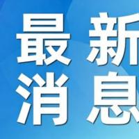 众人吃席遇暴雨冰雹 站凳上半小时宾客调侃